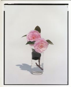 「YOSHIHIKO UEDA : FLOWERS / 著：上田義彦　文：伊藤俊治　装幀：葛西薫」画像7