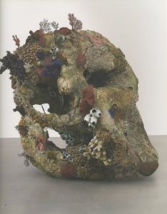「Treasures from the Wreck of the Unbelievable / Damien Hirst」画像4