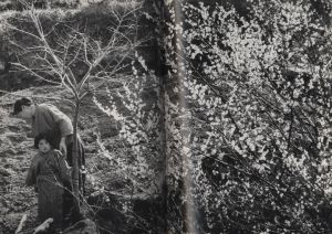 「長崎<11:02>1945年8月9日 / 東松照明」画像4
