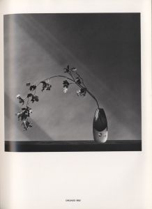 「Flowers / Author: Robert Mapplethorpe」画像2