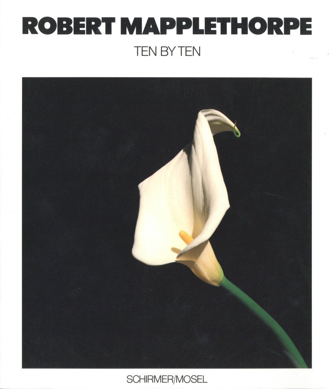 「ROBERT MAPPLETHORPE TEN BY TEN / Author: Robert Mapplethorpe」メイン画像