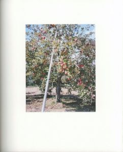 「林檎の木 / 写真：上田義彦　装丁：葛西薫」画像2