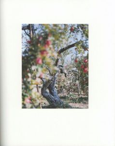 「林檎の木 / 写真：上田義彦　装丁：葛西薫」画像3
