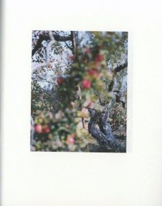 「林檎の木 / 写真：上田義彦　装丁：葛西薫」画像4