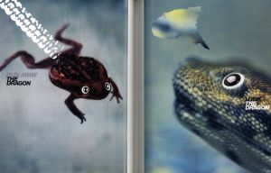「INOUE TSUGUYA GRAPHICS TALKING THE DRAGON / 井上嗣也」画像3