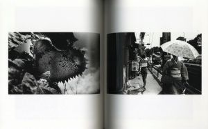 「Daido Moriyama 1965~ / 写真：森山大道　編：上田義彦」画像5