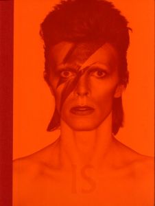 DAVID BOWIE IS INSIDEのサムネール
