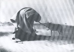 「Joseph Beuys　Coyote / Joseph Beuys」画像4