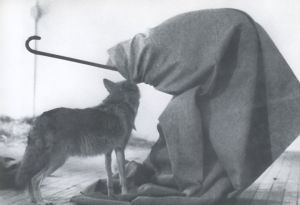 「Joseph Beuys　Coyote / Joseph Beuys」画像3