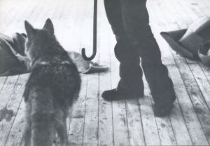 「Joseph Beuys　Coyote / Joseph Beuys」画像1