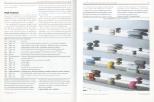 「Theories, Models, Methods, Approaches, Assumptions, Results and Findings / Damien Hirst」画像9