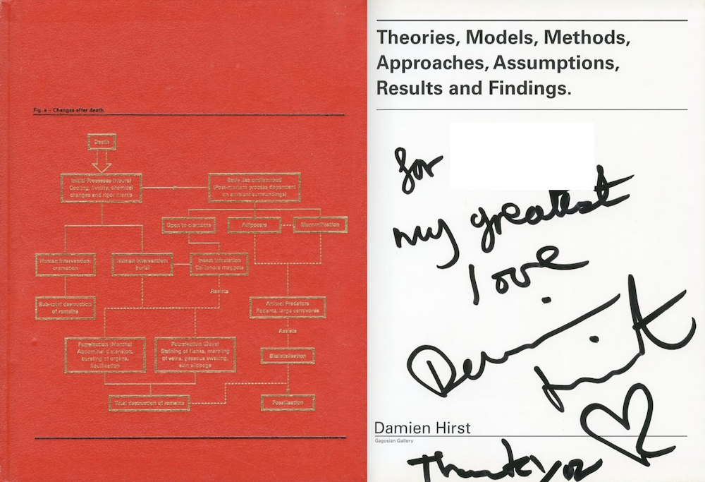 「Theories, Models, Methods, Approaches, Assumptions, Results and Findings / Damien Hirst」メイン画像