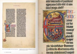 「Das Buch der Bibeln / Author: Stephan Füssel, Christian Gastgeber, and more.」画像2
