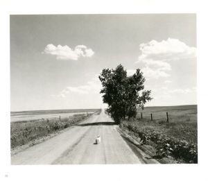 「PERFECT TIMES　PERFECT PLACES / Robert Adams」画像5