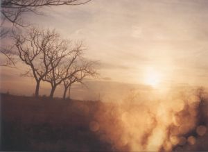 「A Road Divided / Author: Todd Hido」画像6