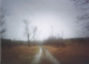 「A Road Divided / Author: Todd Hido」画像5