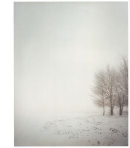 「A Road Divided / Author: Todd Hido」画像4