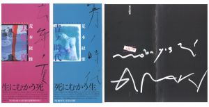 青ノ時代  /  去年ノ夏　2冊セット／荒木経惟（Blue Period / Last Summer Set of 2 books／Nobuyoshi Araki)のサムネール