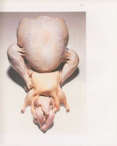 「IRVING PENN　OBJECTS FOR THE PRINTED PAGE / 写真：アーヴィング・ペン」画像3