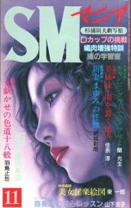 SMマニア　1989年  11月 第8巻 第11号のサムネール