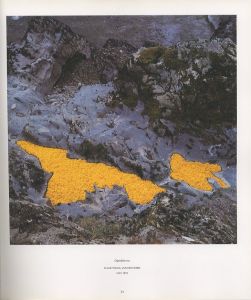 「STONE / Andy Goldsworthy」画像4