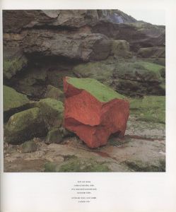 「STONE / Andy Goldsworthy」画像5