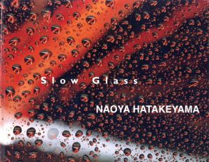 Slow Glass／畠山直哉（Slow Glass／Naoya Hatakeyama)のサムネール