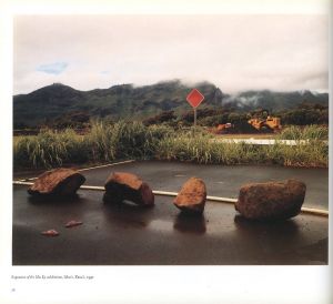 「No Ordinary Land　Encounters in a Changing Environment / Photo: Virginia Beahan, Laura McPhee」画像5