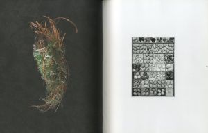 「nest: A Quarterly of Interiors #14　Fall 2001 / Art Director, Editor-In-Chief: Joseph Holtzman　Special Feature: DJ Spooky, etc.」画像1