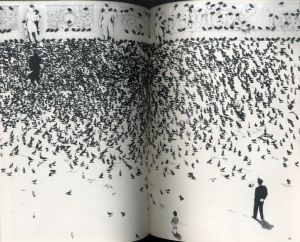 「ヨーロッパ・静止した時間 / 写真：奈良原一高　ブックデザイン：杉浦康平、勝井三雄」画像8