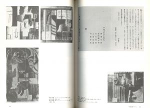 「日本のダダ1920-1970 増補新版 / 著：白川昌生」画像2