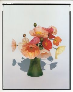 「YOSHIHIKO UEDA : FLOWERS / 著：上田義彦　文：伊藤俊治　装幀：葛西薫」画像6