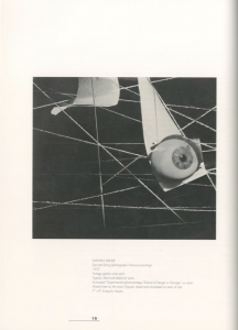 「The New Bauhaus School of Design in Chicago Photographs 1937-1944 / Author: Jack Banning, Adam J. Boxerほか」画像1