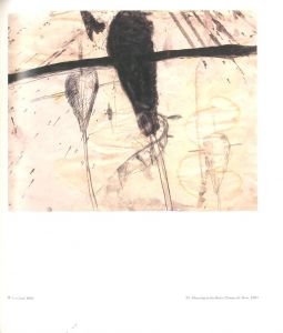 「Julian Schnabel: Works on Paper 1975-1988 / Julian Schnabel」画像4