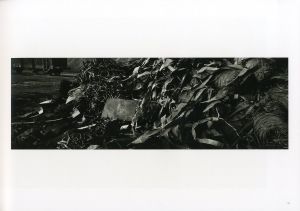 「chaos / Josef Koudelka」画像7