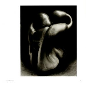 「The Form of the Nude / Edward Weston 」画像4