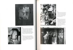 「MAVO Japanese artists and the avant-garde 1905-1931 / Gennifer Weisenfeld 」画像3