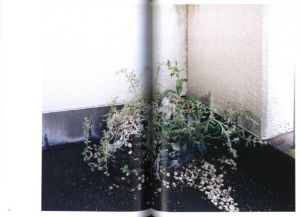 「IN OUR NATURE / ホンマタカシ」画像5