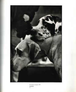 「To The Dogs / Elliott Erwitt」画像3