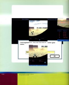 「Browser: The Internet Design Project / Consultant Editor: Blackwell　Research and text: Liz faber」画像1