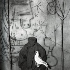 「ASYLUM OF THE BIRDS / Roger Ballen」画像1
