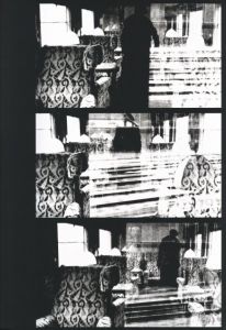「Louis Vuitton Fashion Eye ORIENT EXPRESS Sarah Moon / Author: Sarah Moon」画像3