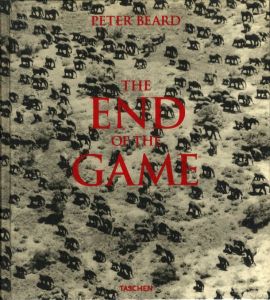 ＴHE END OF THE GAMEのサムネール