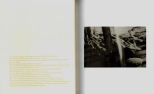 「Daido Moriyama: white and vinegar / 写真：森山大道」画像5