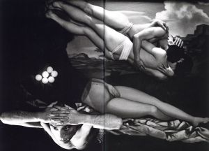 「BA・RA・KEI: ORDEAL BY ROSES / Model, Preface: Yukio Mishima　Photo: Eikoh Hosoe　Design: Kiyoshi Awazu」画像3