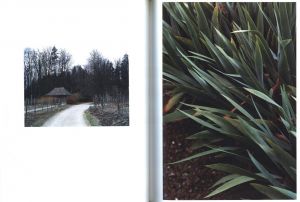 「Dandelion Room / Thomas Struth」画像4