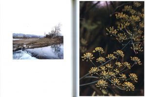 「Dandelion Room / Thomas Struth」画像5