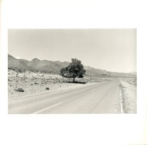 「TRAFFIC SUNSET PARK CONTINENTAL DIVIDE / Author: Henry Wessel」画像7