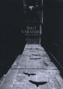 手のなかの空  奈良原一高  1954-2004のサムネール