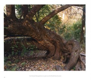 「LEGACY / Joel Meyerowitz」画像3